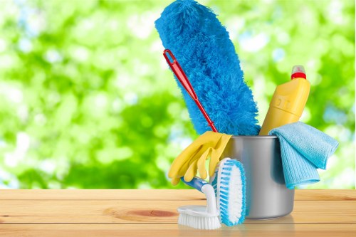 A variety of fresh cleaning products arranged neatly on a shelf.