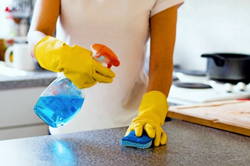 Professional deep cleaning services in action