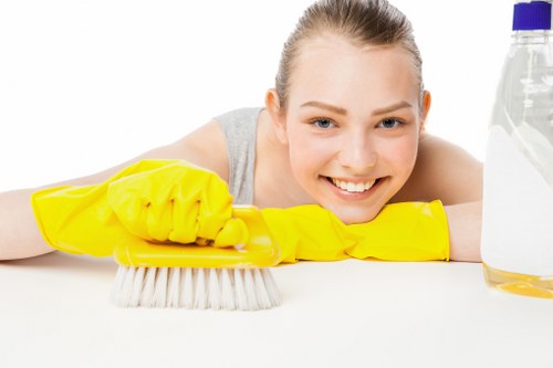 Eco-Friendly Cleaning Products