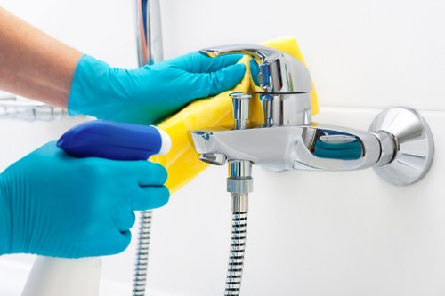 Eco-friendly window cleaning products used by Fresh Cleaners