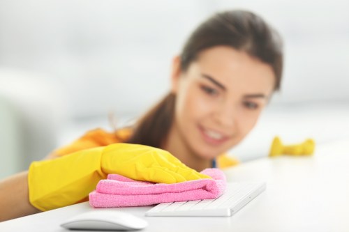 Importance of maintaining clean rugs
