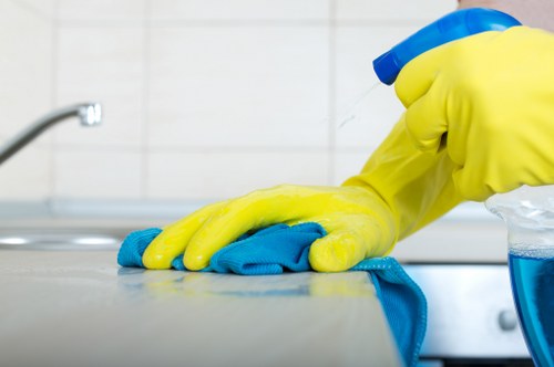 Fresh Cleaners' professional team cleaning commercial windows