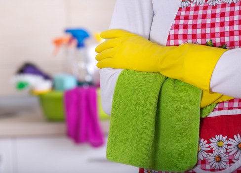Eco-friendly cleaning products for oven maintenance